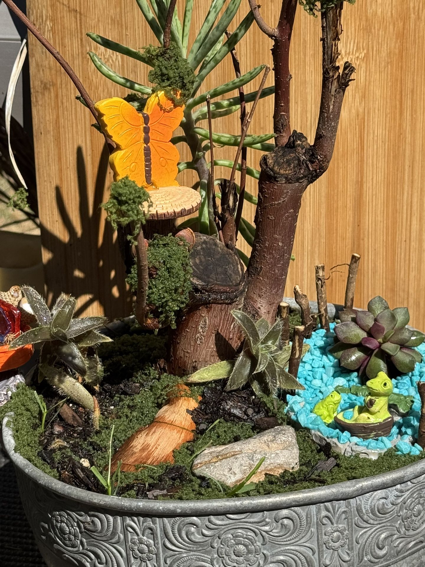 Unique Fairy Garden…Real Plants