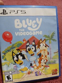 Bluey Game PS5