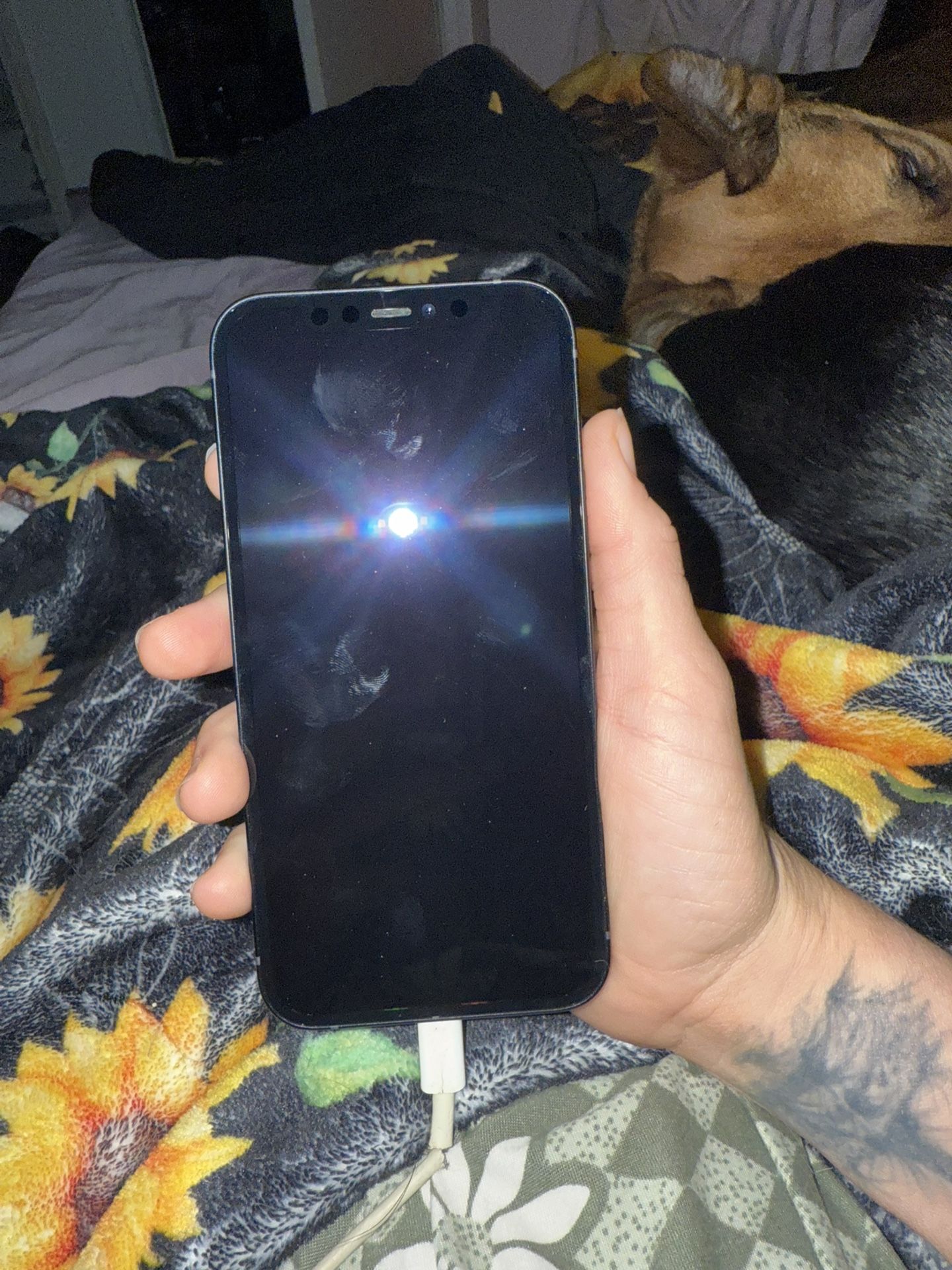 iPhone 12 64GB