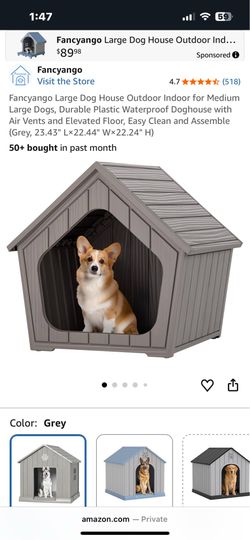 Dog House