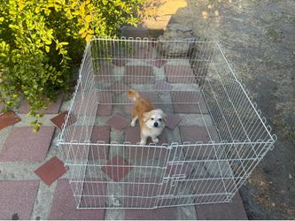 Metal Pet Pen