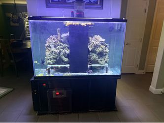 114 gallon aquarium setup for sale