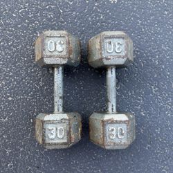 30 lb Dumbbells