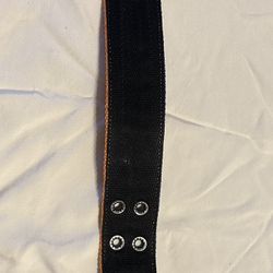 Pit Bull Dog Collars 