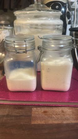 Sourdough starter
