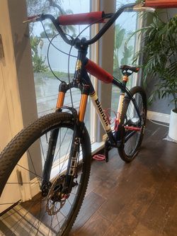 29” Eduardo Bianchi SOK