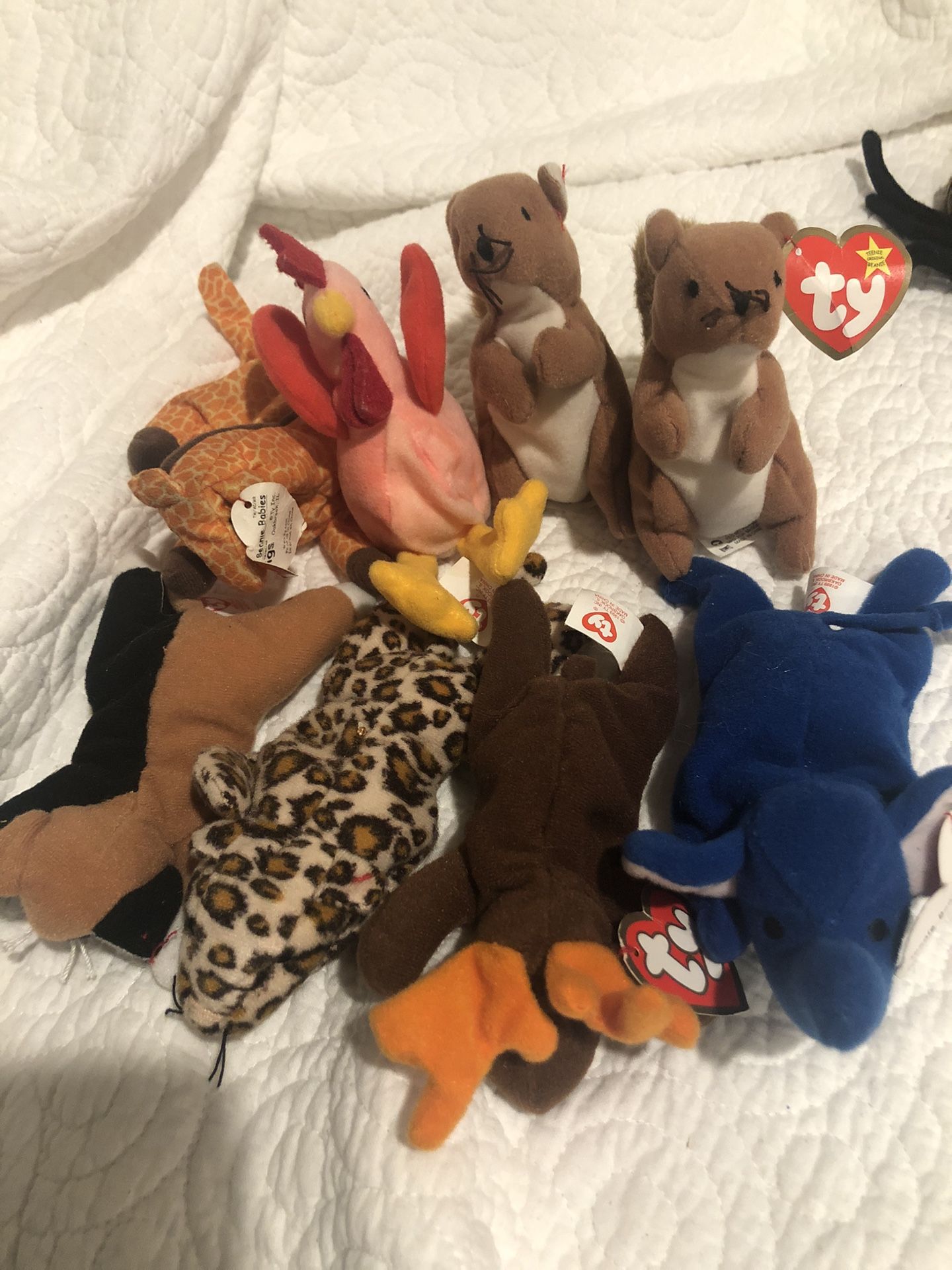 8 TY Teenie Beanie Baby Animals