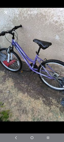 Roadmaster women's 18 speed mountain bike 20$