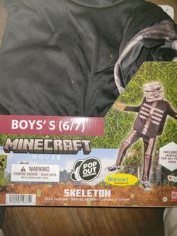 Halloween Costume MINECRAFT