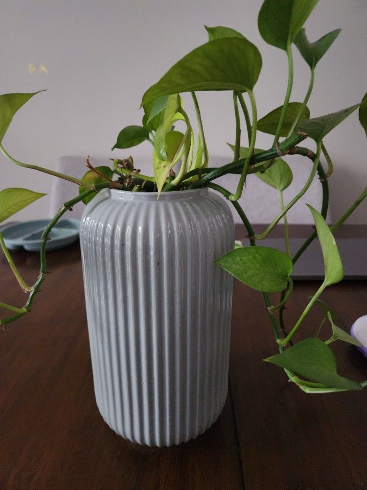 Ceramic Vase