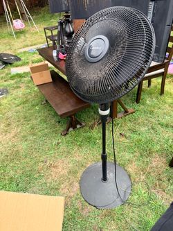 💨 Lasko Adjustable Pedestal Fan – $10