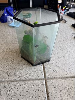 Reptile tank
