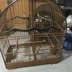 This Cages $100