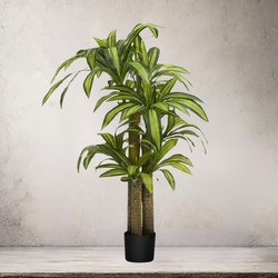 Artificial Dracaena Tree