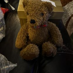 Teddy Bear Beverly Hills  NEW