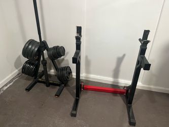 Free Weight Plates and Squat Rack