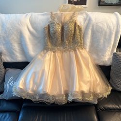 Damas Champagne  Dress