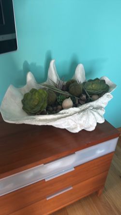 Large Shell-Shaped Decorative Bowl with Succulents