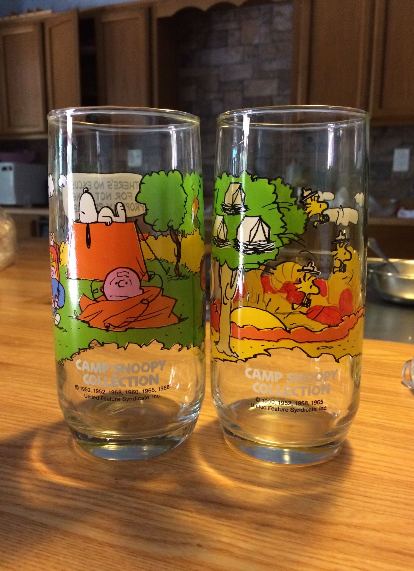 Camp Snoopy Collection McDonalds glass cups