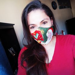 Christmas Face Mask
