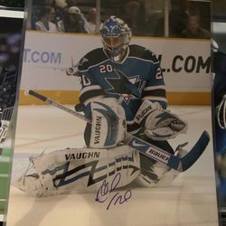 San Jose Sharks Evgeni Nabokov “nabby” Signed 16x20