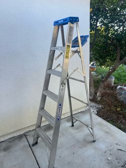 Ladder 6ft size