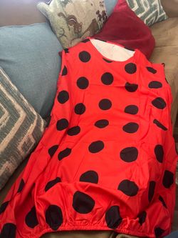 Traje de tortolita
