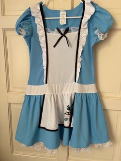 Alice Teen Costume Size 14-16