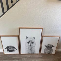 Pottery barn, pictures all like new condition