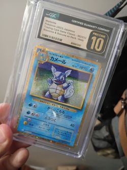 Wartortle #2