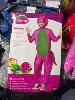 Barney costume