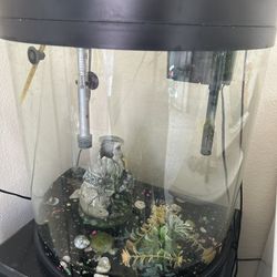 Fish Tank