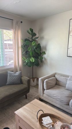 Pottery Barn Faux Tree