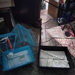 Bird Cages