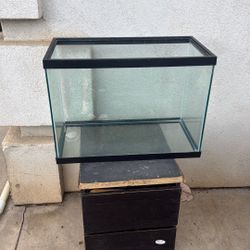 Fish Tank 20 Gallon 