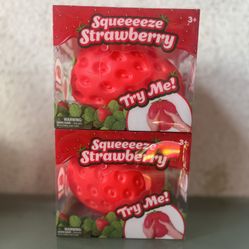 Strawberry Squishy 