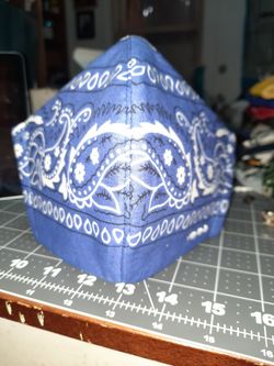 Blue Bandana Face Mask