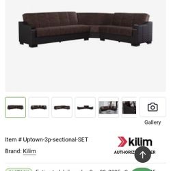 Sectional Sofa With Storage/Sleeper Function