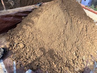 FREE Dirt
