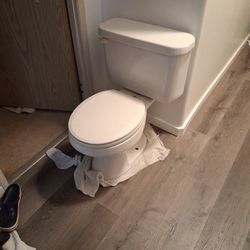 Free Toilet