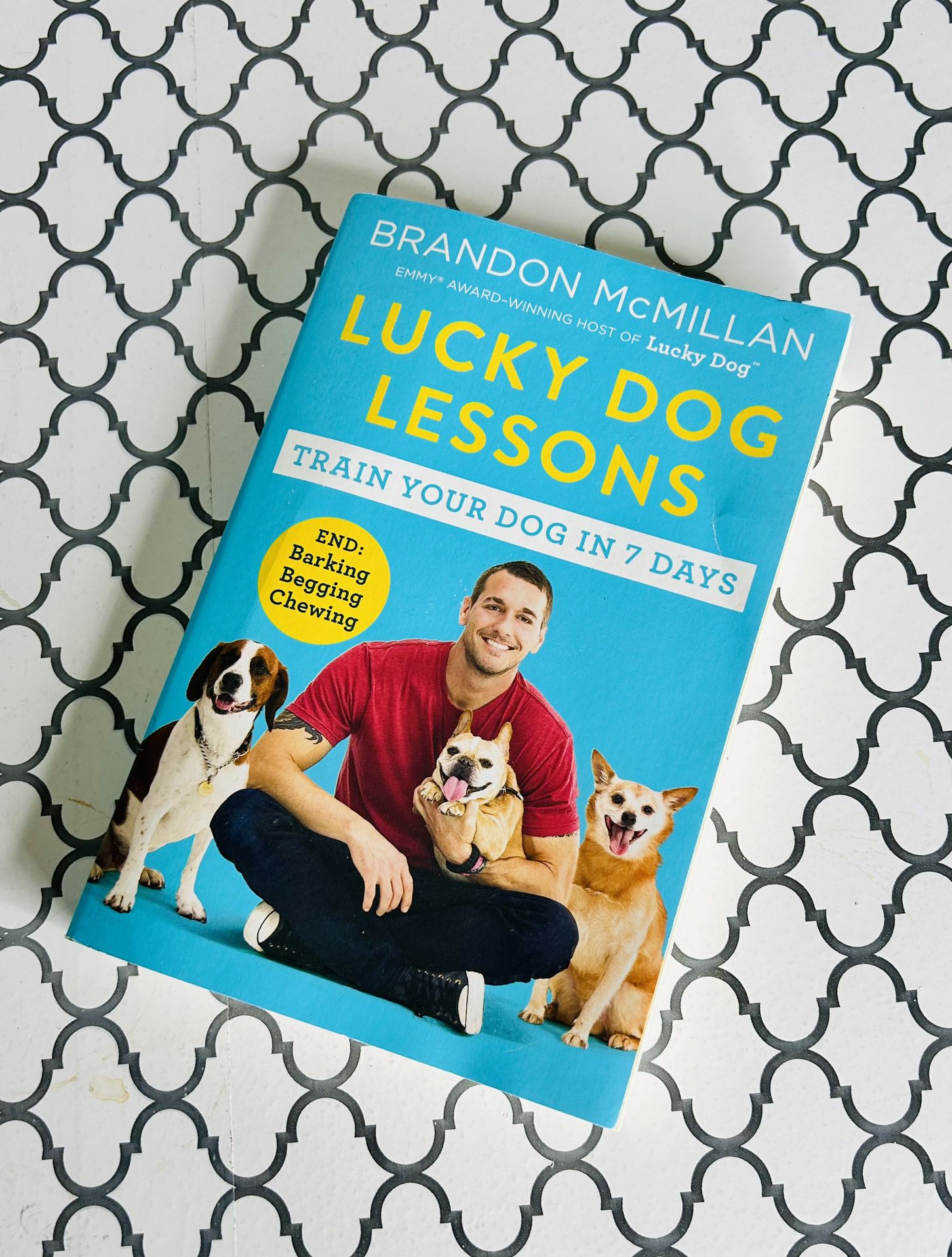 Lucky Dog Lessons Paperback Book 