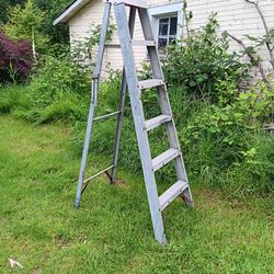 6 ft ladder 