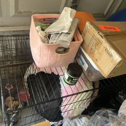 Dog Items… Must Go