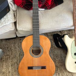 Beginner Classical Acoustic Guitar 