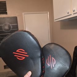 Sanabul Boxing Mitts