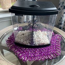 Mini Aquarium 2.5Gallon