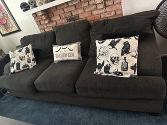 Free Sofa