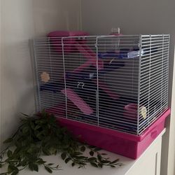 Hamster cage
