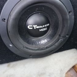 Ct Sound 6.5 Subwoofer
