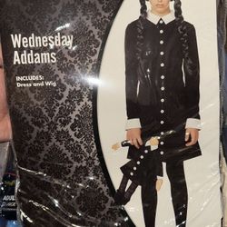 Halloween costume, Wednesday small child’s size 4-6 $35